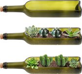 Set van 3 glazen wijnflessen, vetplanten, bloembakken, vintage, 32 x 7,1 cm, ovale uitsparing, vintage decoratie voor planten, bloemen, cactussen, bamboe, tuin, terrarium en