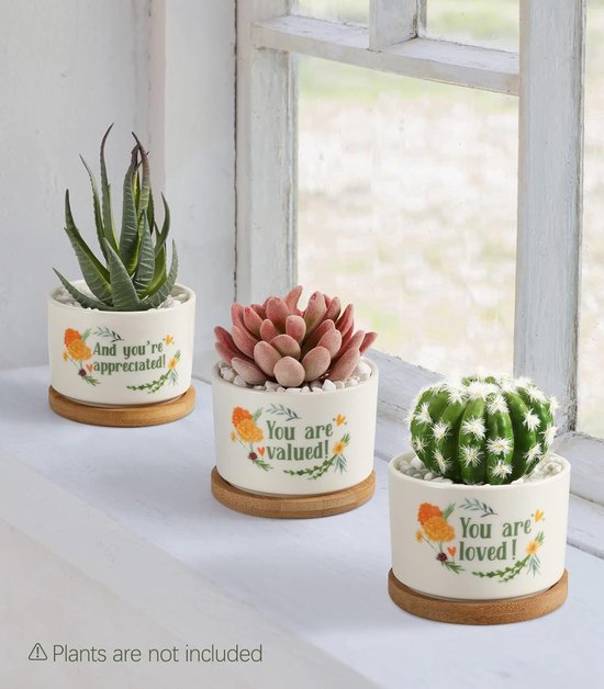 MISNODE Paashaas Succulente Plantenbak, Rubberen Konijn Bloempot Buiten Tuin Konijn Plantenbak Pot voor Bonsai Plantenbakken Succulent, Konijn Standbeeld voor Kantoor Huis Tuin Yard Balkon Decor(Wit