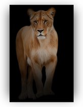 Poster leeuwin in het donker 60x90 cm - Poster kinderkamer - Woonkamer posters - Poster dieren - Kinderen - Leeuwin - Natuur - Wanddecoratie