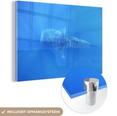 MuchoWow® Glasschilderij 60x40 cm - Schilderij acrylglas - Een Walvishaai in een heldere oceaan - Foto op glas - Schilderijen