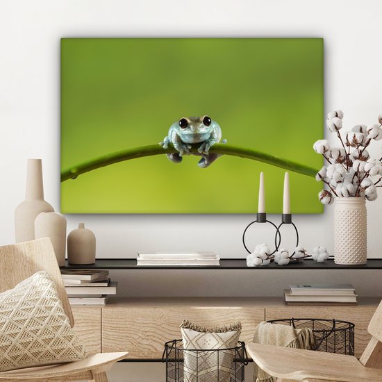 Tableau Grenouille - Branche - Vert - 60x40 cm - Décoration murale