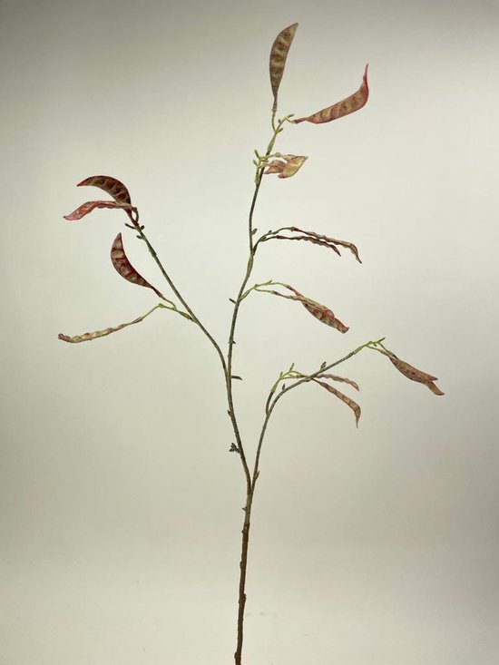 Zijden kunstbloem Bonentak | Rood | Lengte 90 centimeter | Rood