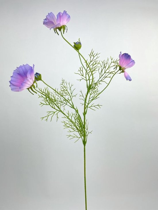 Zijden kunstbloem Cosmea | Paars | Lengte 90 centimeter