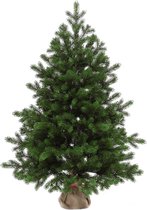 Altair - 95 cm - sapin de Noël artificiel de haute qualité - belles pointes d'arbre faciles à monter en 100% PE - arbre d'aspect très naturel