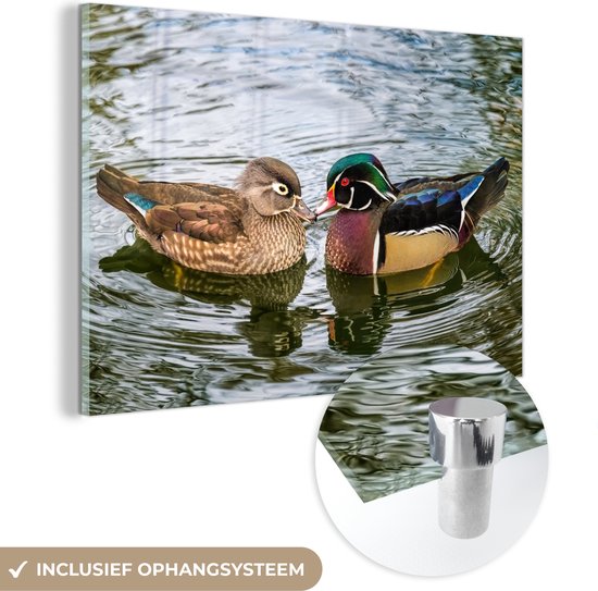 MuchoWow - Glasschilderij - Foto op glas - Acrylglas - Eend - Vogels - Water - Veren - 120x80 cm - Schilderij glas - Glasschilderij vogels - Glasschilderij dieren - Slaapkamer
