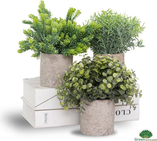 GreenDream® Plantes artificielles set de 3 petites plantes artificielles - Plantes artificielles - 20 cm de hauteur
