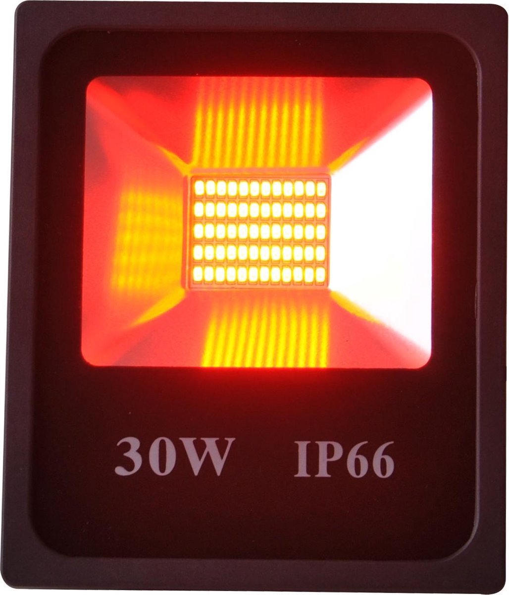 Rode LED Bouwlamp 30 Watt - IP66 - Crius