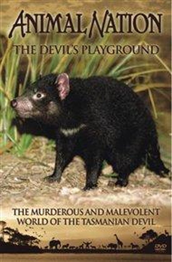 The Molevolent World Of The Tasmanian Devil