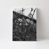 Plant | Close-up | Zwart-wit | Natuur | Stichting BY Amanda | Canvasdoek | Wanddecoratie | 40CM x 60CM | Schilderij