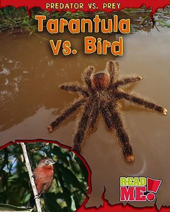 Tarantula vs. Bird, Mary Meinking 9781410939470 Boeken