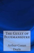 The Gully of Bluemansdyke