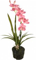 Kunstplant orchidee roze - 1 tak h53cm