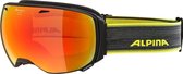 Alpina Alpina Big Horn HM Skibril - Zwart | Categorie 2