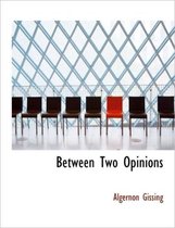 Between Two Opinions