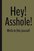Hey! Asshole! Write in this journal!