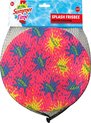 foto van Frisbee voor in het water, bijv deze