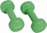 Schildkröt Fitness Dumbbells - 2 x 1 kg - Gietijzer - Groen