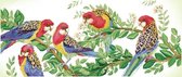 Diamond Painting Volwassenen - Ronde Steentjes - Volledig Pakket - Hobby - Diamond Dotz® - DD13.025 - Dieren - Gekleurde papegaaien op een tak 37 x 87cm