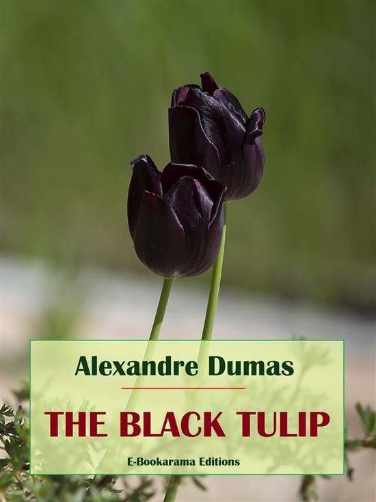 The Black Tulip - cover