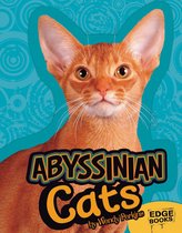 All About Cats - Abyssinian Cats