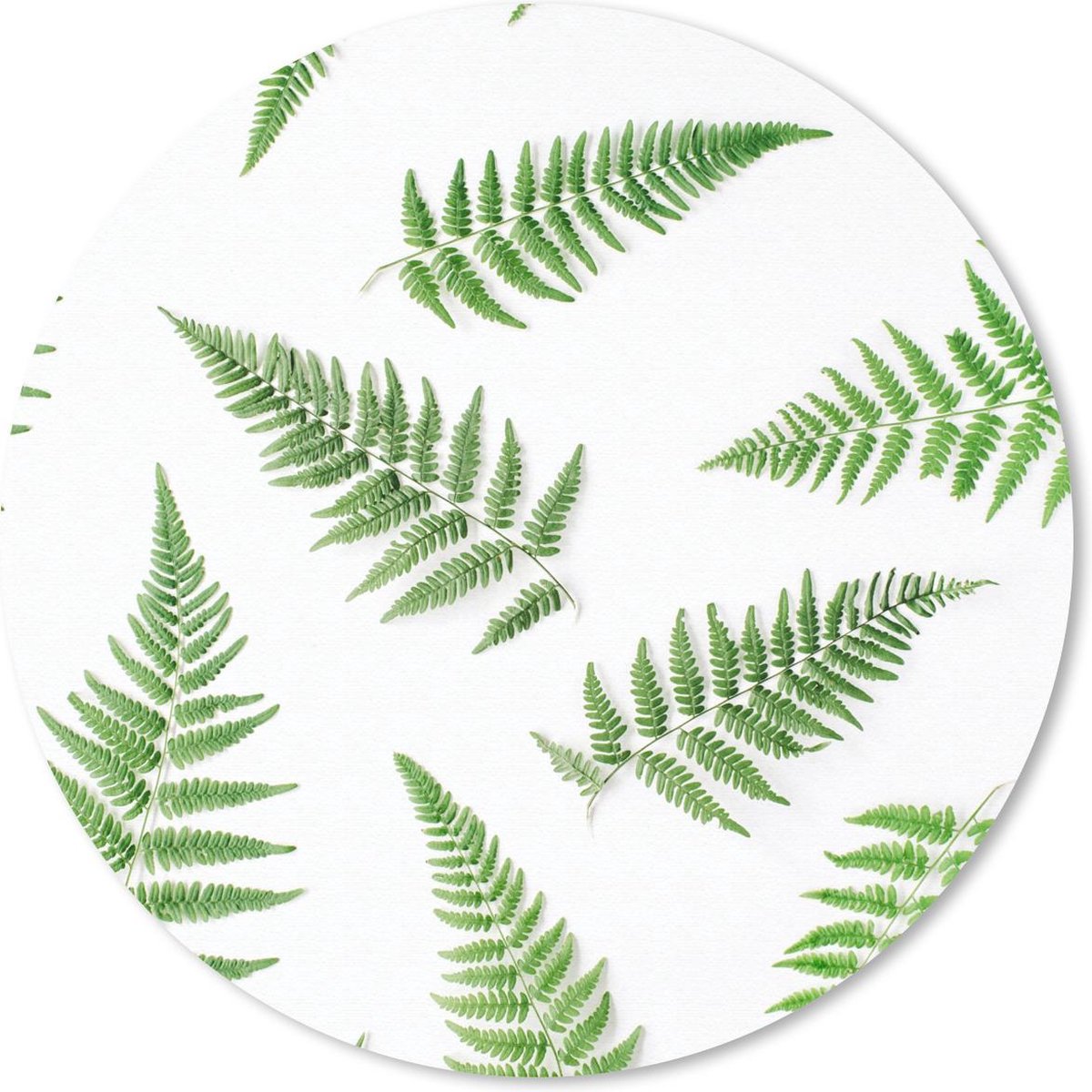 Muismat rond 40x40 cm - Mousepad Groen - Tropisch - Varen - Ronde muismatten