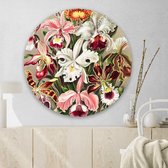 Muurcirkel Orchideae Round - Papier - Meerdere Afmetingen & Prijzen