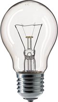 Soleo Gloeilamp E27 - 100W - Warm Wit Licht - Dimbaar