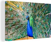 Peinture sur Toile Plumes de Paon - Blauw - Vert - 180x120 cm - Décoration murale XXL