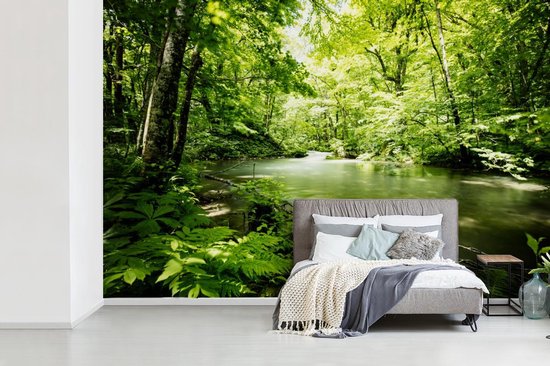 Papier peint - Papier peint photo Forêt - Arbre - Water - Largeur 360 cm x hauteur 240 cm