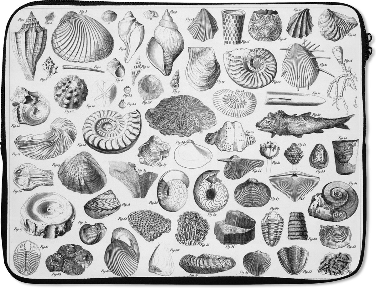 Laptophoes 17 inch - Illustraties van fossielen uit verschillende tijdperken - Laptop sleeve - Binnenmaat 41x28 cm - Zwarte achterkant