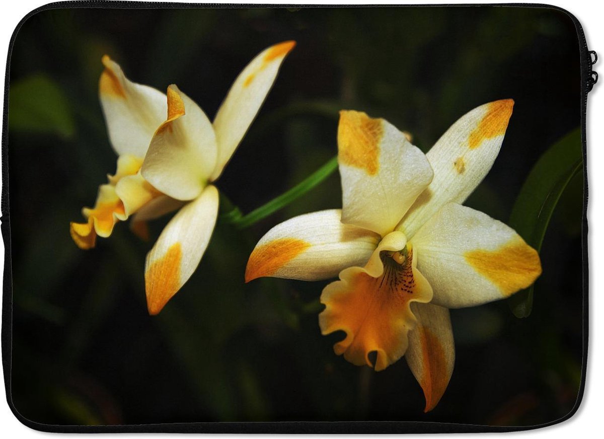 Laptophoes 14 inch - Twee orchideebloemen - Laptop sleeve - Binnenmaat 33x23 cm - Zwarte achterkant