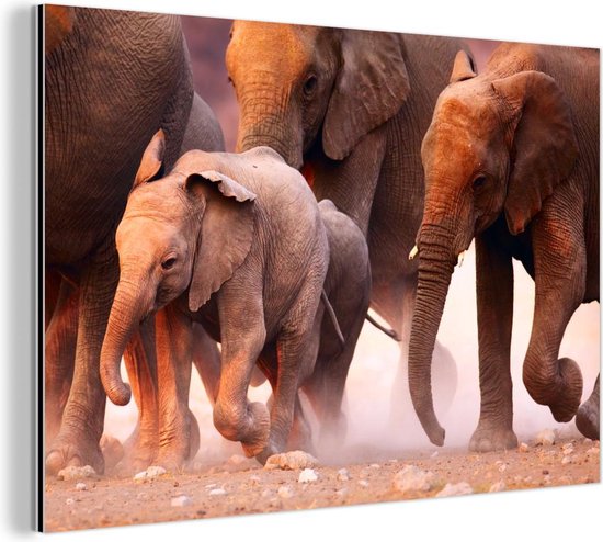 Wanddecoratie Metaal - Aluminium Schilderij - Olifant - Dieren - Stof