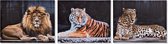 Schilderij DKD Home Decor dieren Koloniaal 50 x 1.8 x 40 cm (3 pcs)