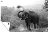 Tuindecoratie Schoonmakende olifant - zwart wit - 60x40 cm - Tuinposter - Tuindoek - Buitenposter