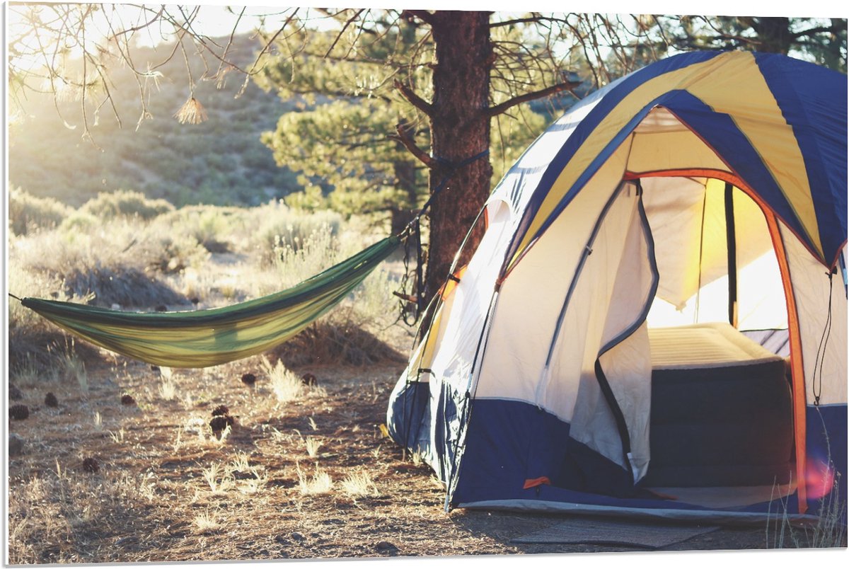 KuijsFotoprint Forex - Tent met Hangmat in de Bossen - 90x60cm Foto op Forex Groen