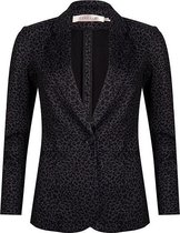Esqualo blazer F21-17500