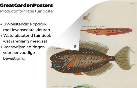Décoration murale' extérieur Vintage - Animal - Poisson - 120x160 cm