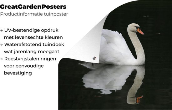 Affiche de jardin Gracieux nageur 120x80 cm - Toile de jardin / Toile d'extérieur / Peintures d'extérieur (décoration de jardin)