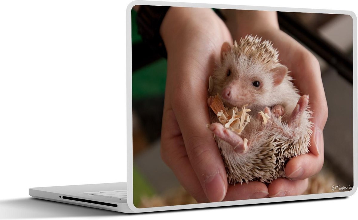 Laptop sticker - 13.3 inch - Kleine egel in handen - 31x22,5cm - Laptopstickers - Laptop skin - Cover