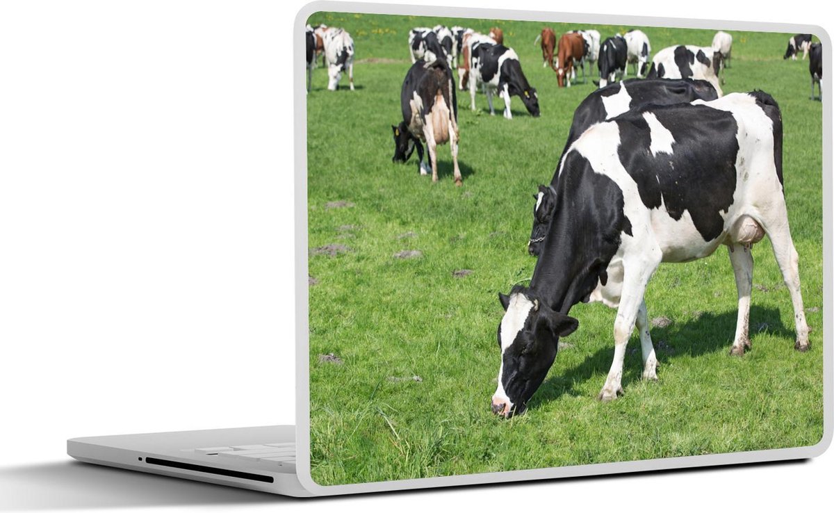 Laptop sticker - 13.3 inch - Koe - Dieren - Gras - Zon - 31x22,5cm - Laptopstickers - Laptop skin - Cover
