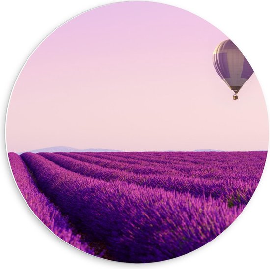 Forex Wandcirkel - Paarse Luchtballon boven Paars Lavendelveld - 60x60cm Foto op Wandcirkel (met ophangsysteem)