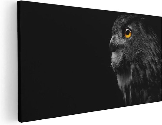 Artaza Canvas Schilderij Zwarte Uil Met Gouden Ogen  - 80x40 - Foto Op Canvas - Canvas Print