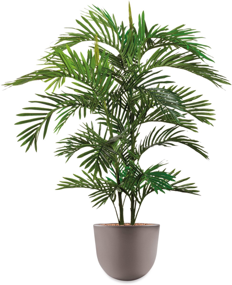 HTT Decorations HTT - Kunstplant Areca palm in Eggy taupe H125 cm