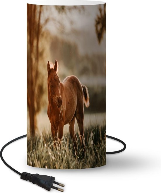 Lamp Quarter Paard – Etend Quarter paard veulen lamp – 33 cm hoog – Ø16 cm – Inclusief LED lamp