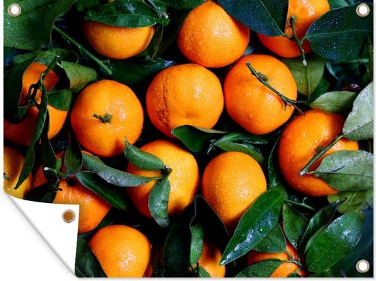 Tuin decoratie Fruit - Sinaasappel - Bladeren - 40x30 cm - Tuindoek - Buitenposter