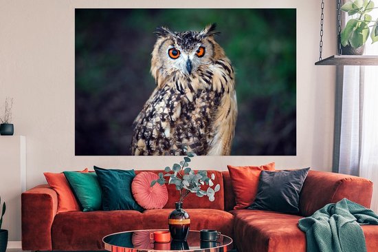 Poster Eagle Owl 150x75 cm - Tirage photo sur Poster (décoration murale salon / chambre) / Poster Animaux