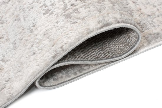 Tapiso Valley Tapis Salon Chambre Gris Clair Cadre Design Moderne Fleurs Durable Vintage Haute Qualité Tapis Taille - 200x300