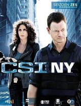 CSI NEW YORK S.6.2 NL