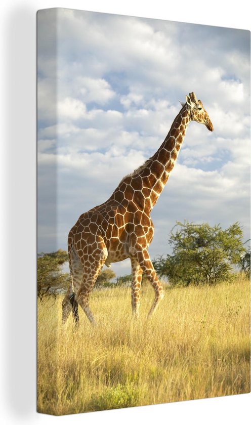 Canvas Schilderij Giraffe - Safari - Gras - 60x90 cm - Wanddecoratie