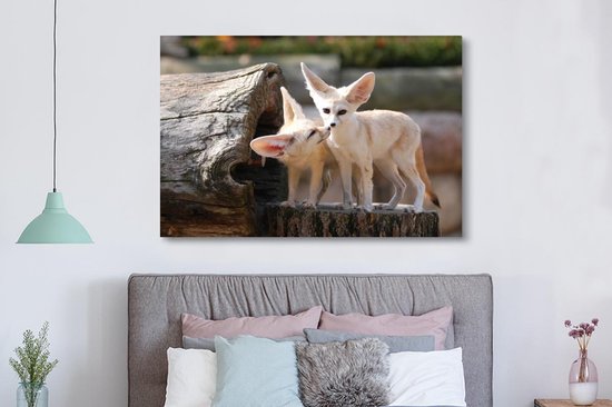 Deux adorables renards Fennec sur un tronc d'arbre Toile 180x120 cm - Tirage photo sur Toile (Décoration murale salon / chambre) / Animaux sauvages Peintures sur toile XXL / Groot format!